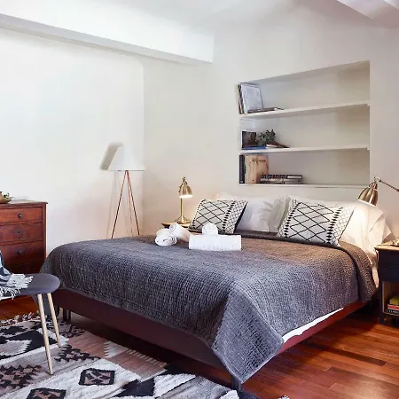 Panoramic View 2 Pitti Palace Close 2ponte Vecchio * Florencie